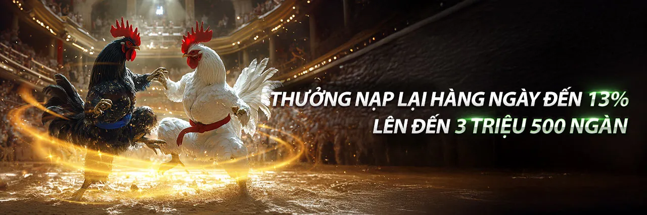 Hoàn trả cược đá gà hàng tuần