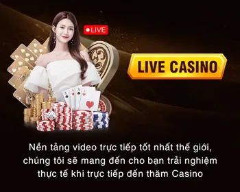 Tổng quan về nền tảng cá cược thể thao HK79