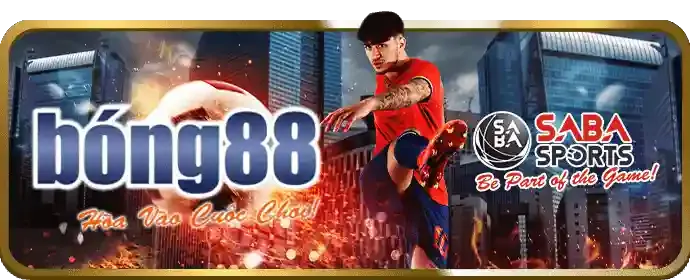 Hình ảnh hướng dẫn cá cược thể thao